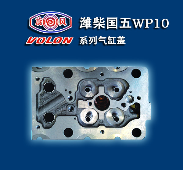H(gu)WP10ϵКw